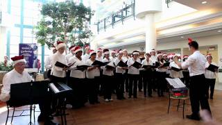 Sunnybrook Choir - Christmas 2008, part 1