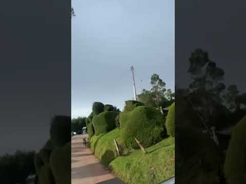 Manaure Balcón del Cesar