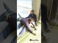 Imilion Bc Viral Xxx Azharilla Funny China Pakistan