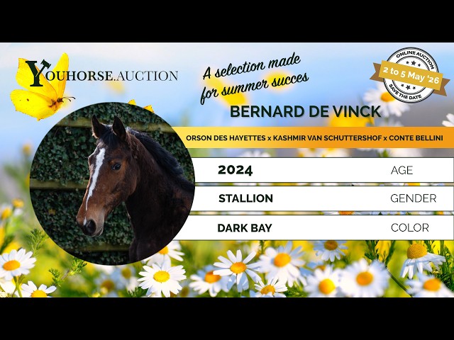 Bernard de Vinck