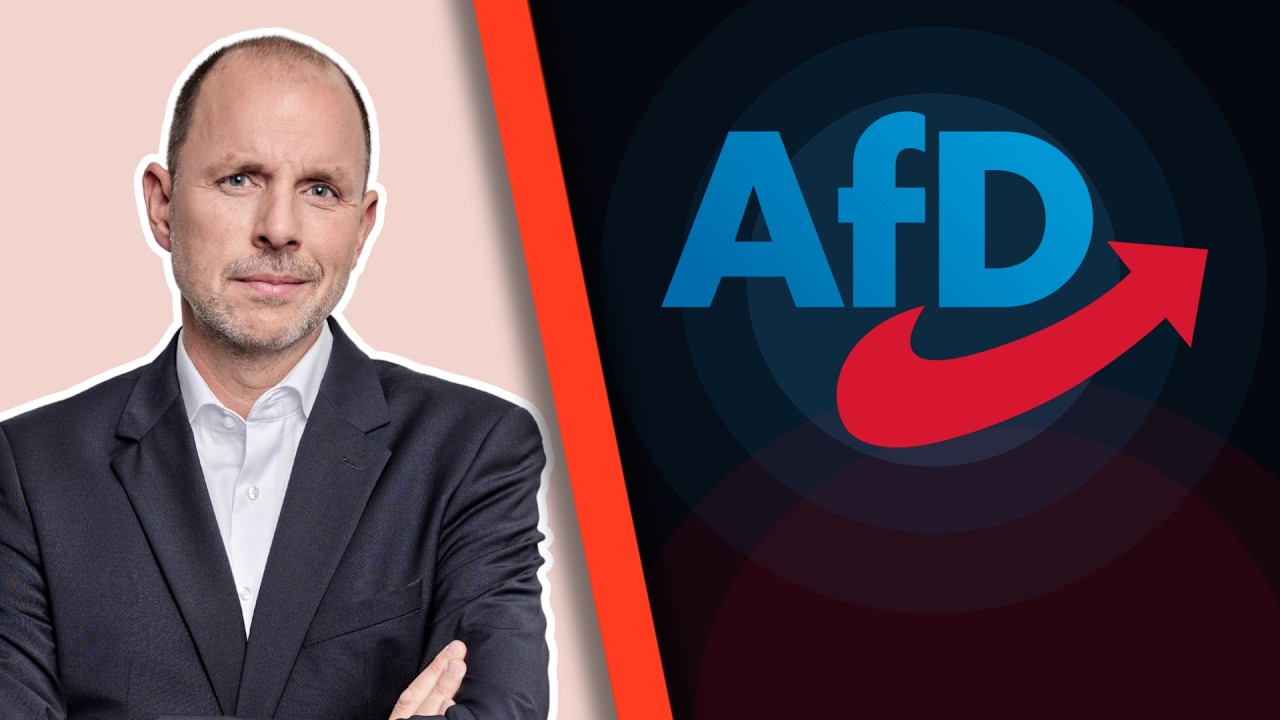Gehackte AfD-Mails vor Gericht verwertbar!