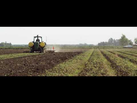 Cubot Echo First Advert Video