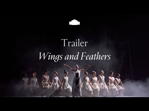 Semperoper Ballett // Trailer „Wings and Feathers“