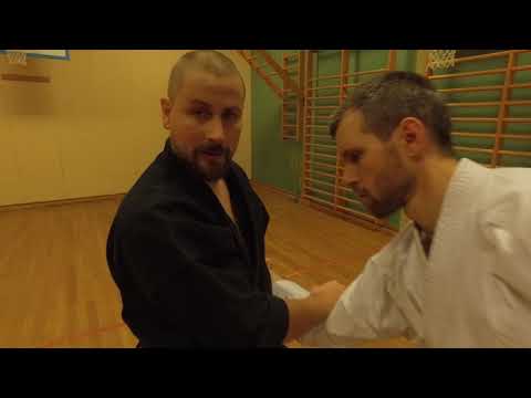 [006] Naihanchin Shodan Bunkai