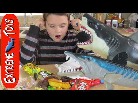 Megalodon Shark Toy Goes Crazy and Eats all the Candy! "Shark and Barracuda Toy" Video