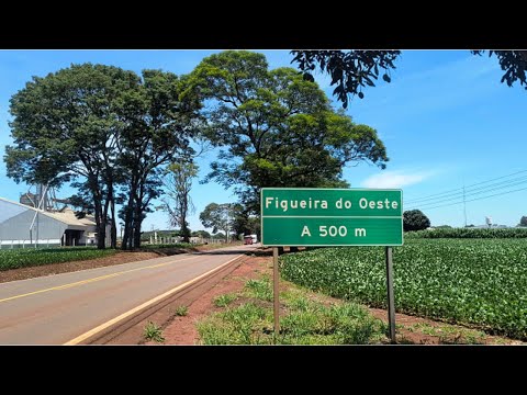 Figueira do Oeste distrito de Engenheiro Beltrão Paraná