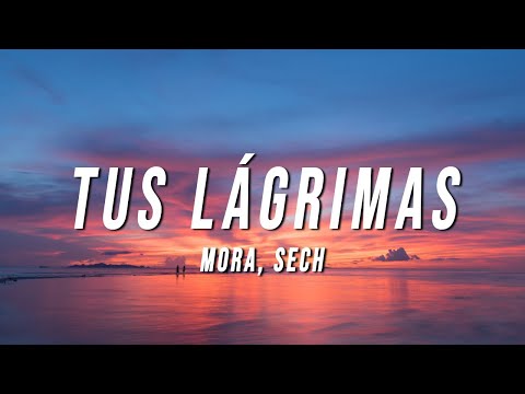 Mora, Sech - TUS LÁGRIMAS (Letra/Lyrics)