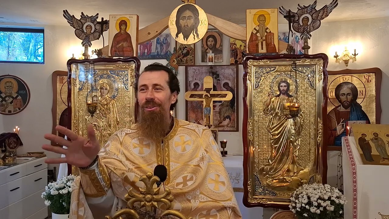 Fie-vă milă ! Pr Claudiu Melean 10.11.2024