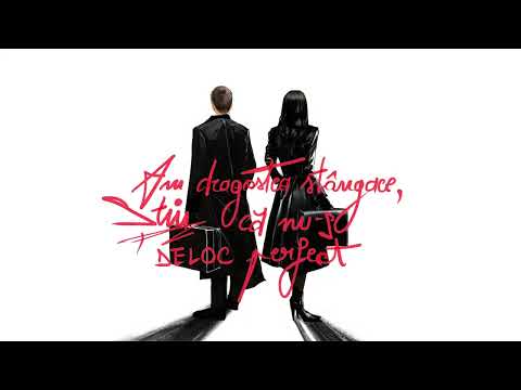 The Motans x Andra - Inapoi in viitor (Lyrics Video)