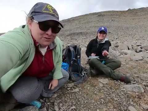 Finding Fossils in the Field