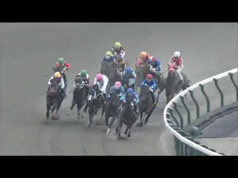 2022.02.20 Hyacinth Stakes (JPN) - Combustion