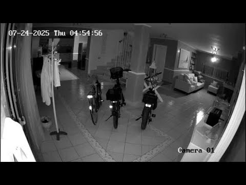 Paestum, il furto notturno nella villa dell'imprenditore