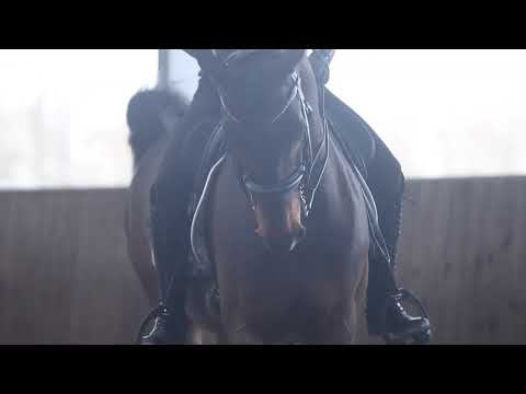 Resim's Invito | Fuerstenball x Sandro Hit