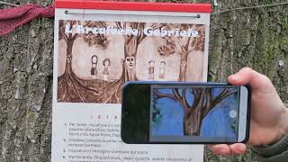 Alberi Narranti - guida