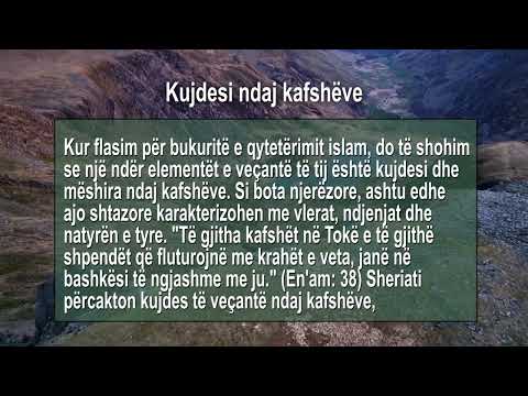 Kujdesi ndaj kafshëve