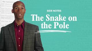 The Snake on the Pole - Side Notes