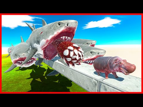 WHO can RUNAWAY FROM MEGALODON | ARBS - Animal Revolt Battle Simulator