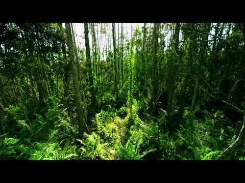 Güher & Süher Pekinel - Milhaud "Scaramouche" Suite for Two Pianos, op. 165b -- Pekinel Duo