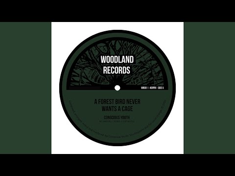 A Forest Bird Never Wants A Cage PT II