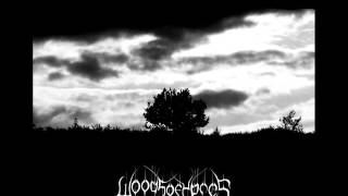 Woods Of Ypres -  Keeper Of The Ledger