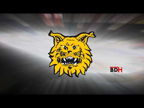 Ilves 2017-2018 Goal Horn