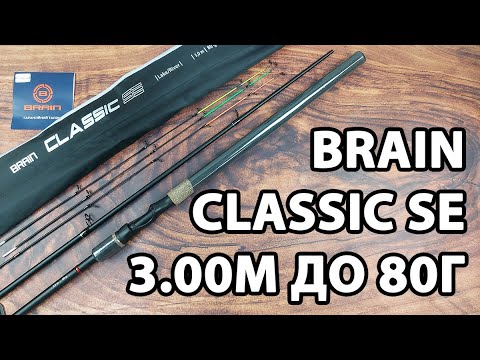 Фідер Brain Classic SE 3.00м / до 80г — делікатна донна ловля + 3 вершинки в комплекті