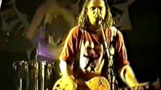 Mercenary Tree Freaks- Bitter End