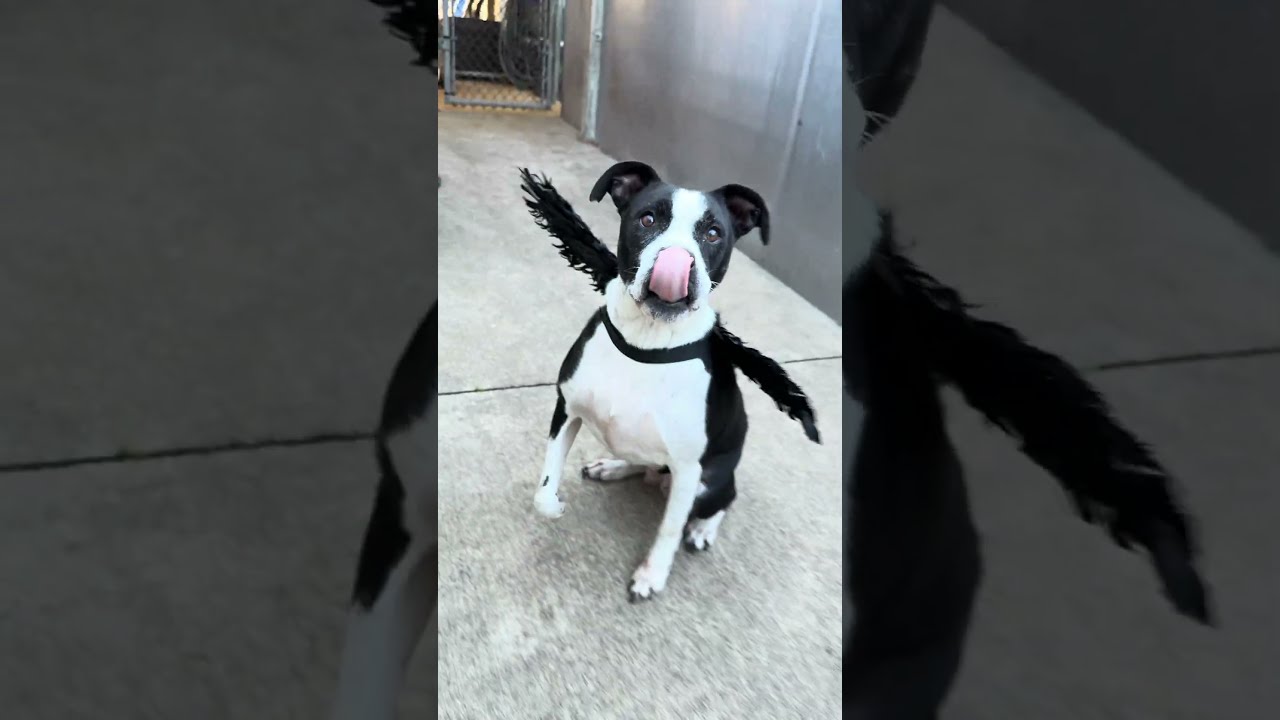 Esther's Video 3