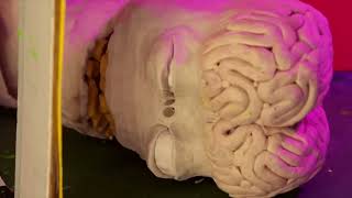 Download lagu ALIENS PUT BABY IN MICROWAVE! (An Alien Claymation) mp3