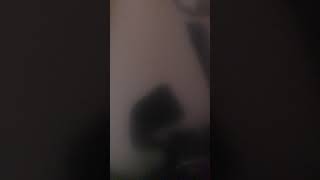 A country boy for Christmas cover