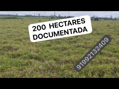 200 hectares de terra na região de medicilândia pá. 91992132409