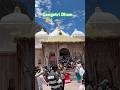 Maa Gangotri Dham Char Dham Yatra Shortsfeed Gangotri Shorts Youtubeshorts