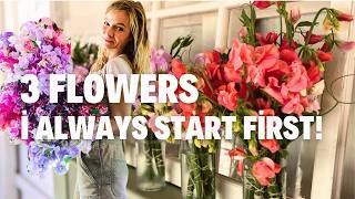 Start These From Seed Now!