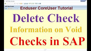 How to delete Check information on Void Checks in SAP