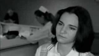 A veces - Nicho Hinojosa (una cancion de amor)