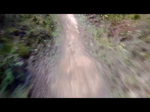 2019 0217 020929 049