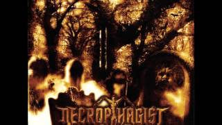 Necrophagist - Epitaph (HD 1080p, Lyrics)