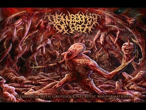Disfigurement Of Flesh - Rotten Remains Of Desecrated Divinity