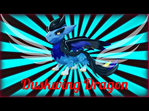 How to Breed DUSKWING DRAGON 🐲 | Weekly Dragon | Dragon Mania Legends |