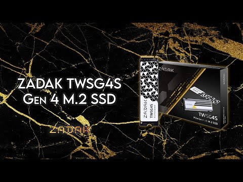 ZADAK TWSG4S M 2 SSD   Unboxing & Review