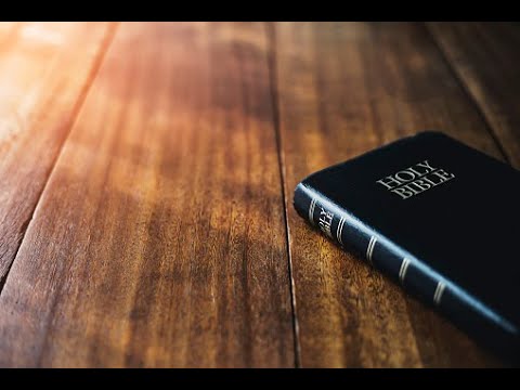 Caci harul lui Dumnezeu, care aduce mantuire pentru toti oamenii, a fost aratat David Magdut