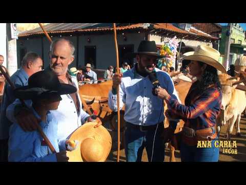Carreiros de Corrego do Ouro-GO e Anicuns-GO participam do Desfile de Carreiros de Trindade-GO 2026