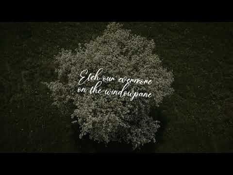 Kyle Carey - Theia's Gaze - Official Lyric Video