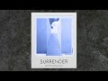 RÜFÜS DU SOL - Surrender (Leif the Viking Remix)