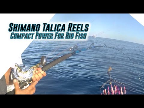 Shimano Talica TAC25II Lever Drag Reels Tuna Fishing