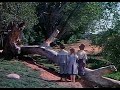 Disney S Song Of The South 1946 Ending