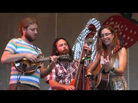 Show Me a Brickwall , 9-6-15,  Lindsay Lou & the Flatbellys, Strawberry Music Festival, Tuolumne, CA