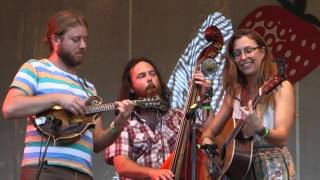 Show Me a Brickwall , 9-6-15,  Lindsay Lou & the Flatbellys, Strawberry Music Festival, Tuolumne, CA