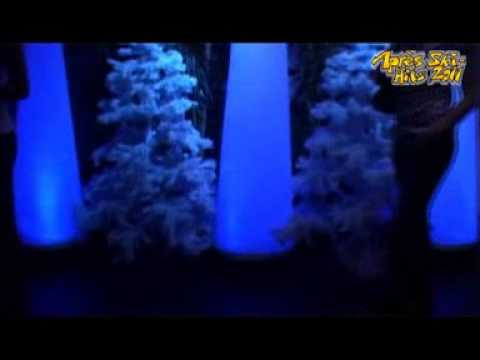 Mi.05.01.2011 - APRÉS SKI HITS 2011 -- DIE PARTY