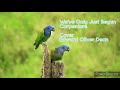 We Ve Only Just Begun Carpenters Cover By Edward Oliver Dean